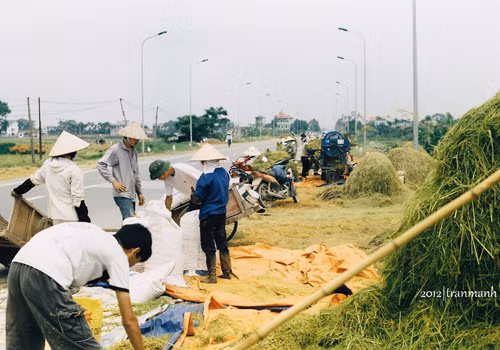 Thu xếp ra về.