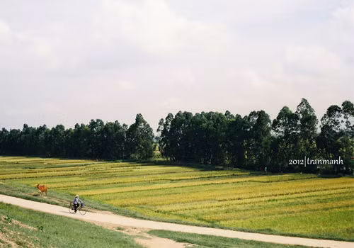 Đường về.