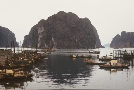 Xóm chài bên vịnh Hạ Long.