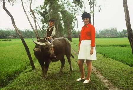 Những chú bé cưỡi trâu có lẽ là hình ảnh dễ thương nhất ở Việt Nam.