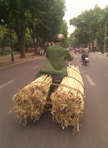 Hành trình mía về phố. Ảnh: AD. Hành trình mía về phố. Ảnh: AD.