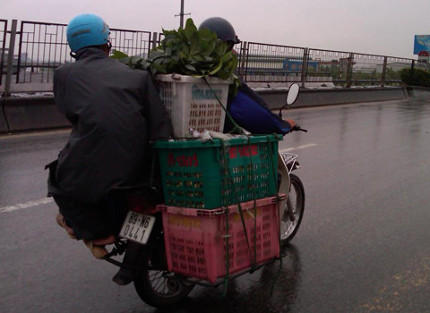 Chụp tại quốc lộ 5. Ảnh: Nguyễn Trọng Huấn. Chụp tại quốc lộ 5. Ảnh: Nguyễn Trọng Huấn.