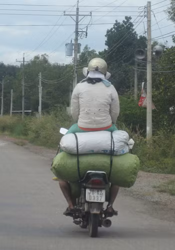 Chụp tại xã Tân Thành, huyện Tân Uyên, tỉnh Bình Dương. Ảnh: Quang Quý.