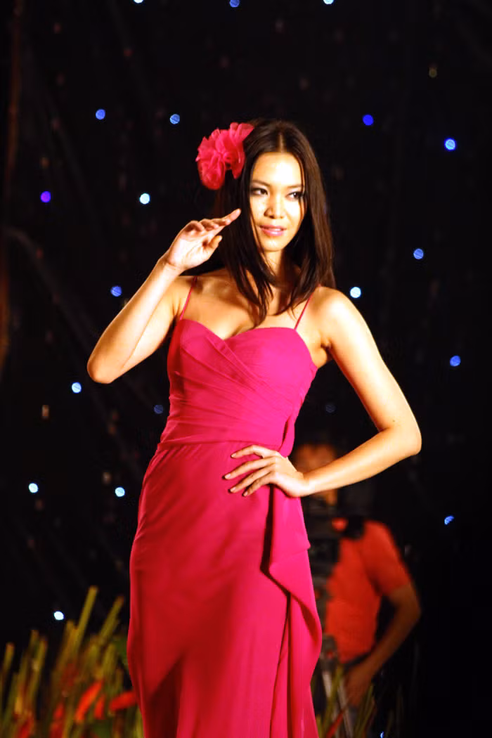 Hoa hậu Việt Nam 2008 Thùy Dung rực rỡ với váy hồng. Hoa hậu Việt Nam 2008 Thùy Dung rực rỡ với váy hồng.