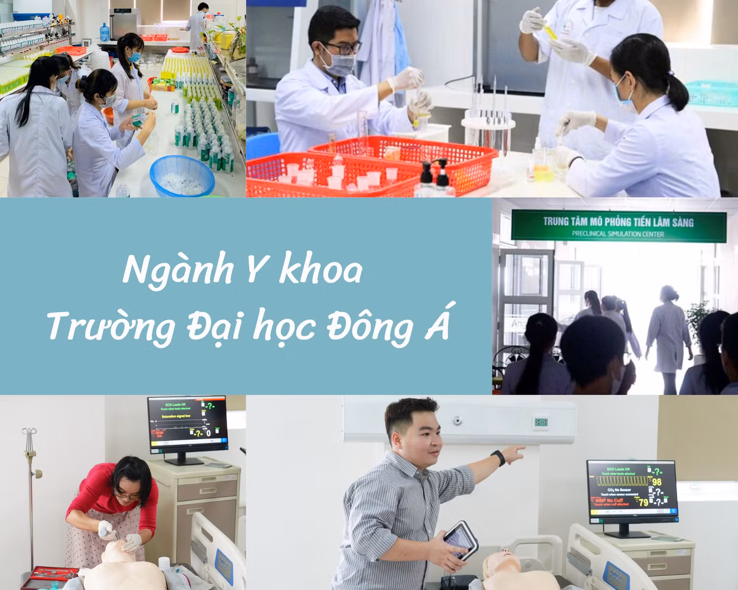 ĐH Đông Á.png