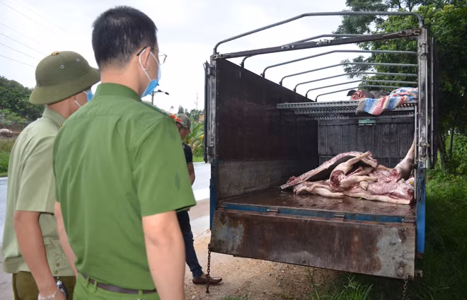 Số thịt lợn dương tính với vi rút dịch tả lợn Châu phi được lực lượng chức năng bắt giữ được. Ảnh: Đội QLTT số 3.