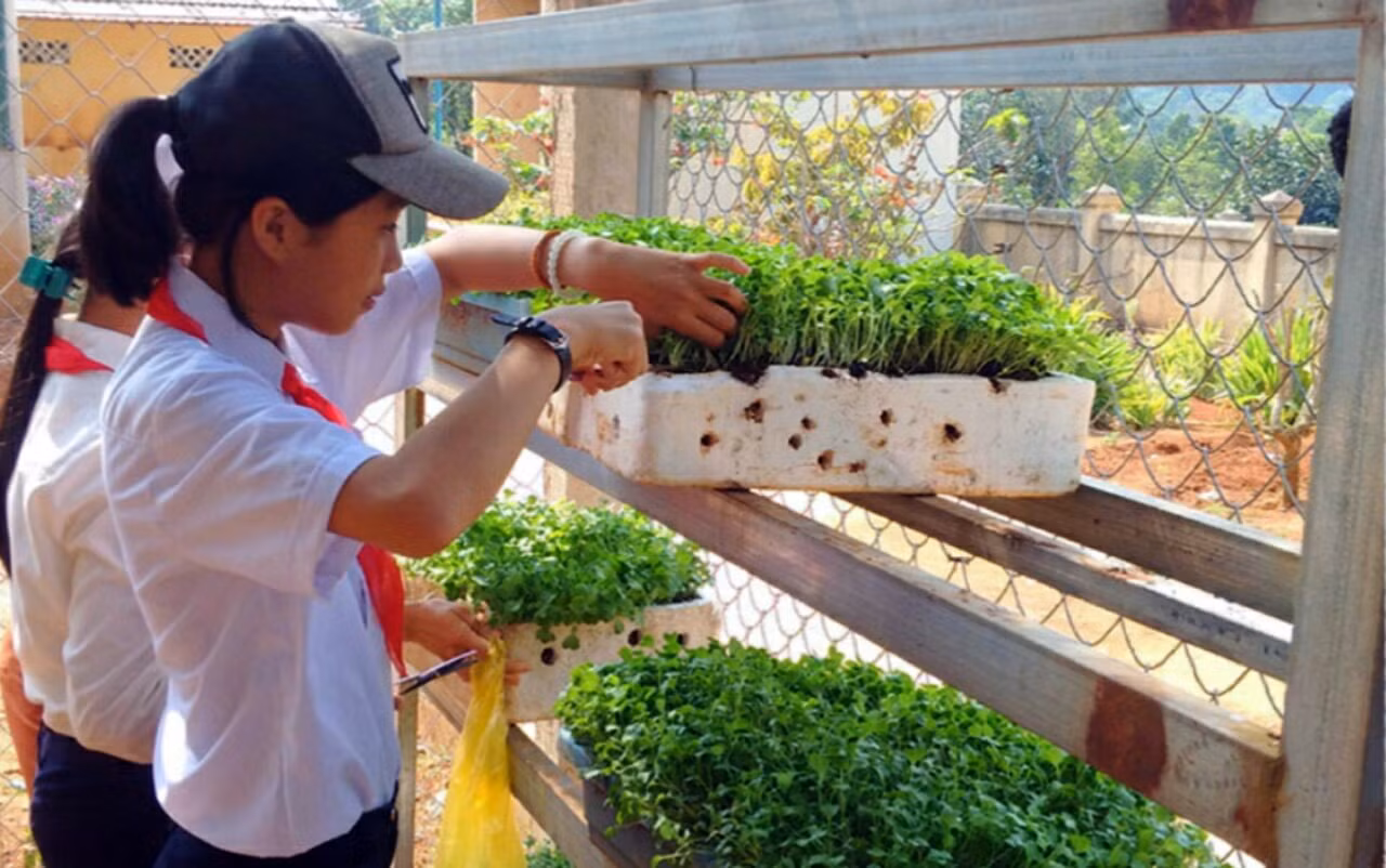 Các em học sinh Trường phổ thông dân tộc bán trú Trung học cơ sở Hướng Phùng, Hướng Hóa, tỉnh Quảng Trị đang chăm sóc những giá thể trồng rau xanh. Ảnh: Thầy Công cung cấp.