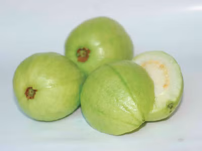 Ăn ổi để điều trị vô sinh nam, ngăn ngừa ung thư ảnh 1