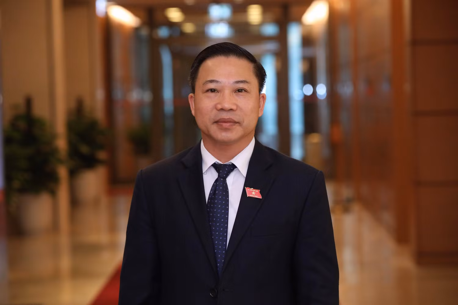 Đại biểu Quốc hội Lưu Bình Nhưỡng. Ảnh: Đại biểu cung cấp