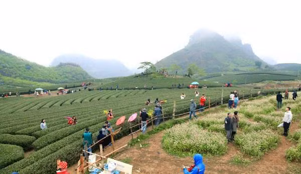 Khu du lịch quốc gia Mộc Châu trên địa bàn 2 huyện Mộc Châu và Vân Hồ. Ảnh minh họa: baochinhphu.vn Khu du lịch quốc gia Mộc Châu trên địa bàn 2 huyện Mộc Châu và Vân Hồ. Ảnh minh họa: baochinhphu.vn