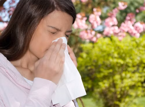 Có thể mấy ngày đầu bạn cảm thấy khỏe hơn nhưng sau đó lại thấy tệ hơn gấp hai lần, thậm chí là rất khó chịu thì đó hoàn toàn có thể chẩn đoán là viêm xoang do vi khuẩn. Anh MH