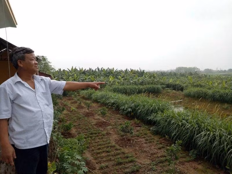 Bùn, đất từ dự án của FLC vùi nhà dân, trách nhiệm của Bộ Tài nguyên đến đâu? ảnh 4 Bùn, đất từ dự án của FLC vùi nhà dân, trách nhiệm của Bộ Tài nguyên đến đâu? ảnh 4