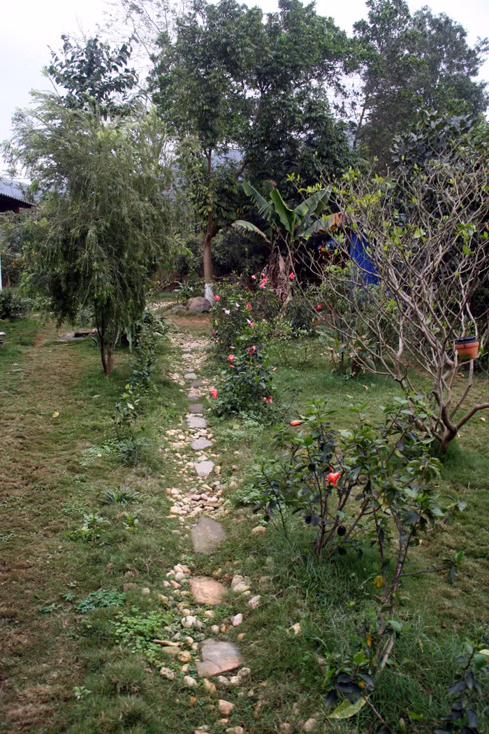 Một lối đi nhỏ trong khu vườn trước nhà được rải đá và trồng hoa. Xem tiếp: Buổi họp báo có một không hai tại nhà diva Mỹ Linh // Thành Chương 'đánh liều' kể chuyện '3 chìm 4 nổi' của Mỹ Linh Một lối đi nhỏ trong khu vườn trước nhà được rải đá và trồng hoa. Xem tiếp: Buổi họp báo có một không hai tại nhà diva Mỹ Linh // Thành Chương 'đánh liều' kể chuyện '3 chìm 4 nổi' của Mỹ Linh