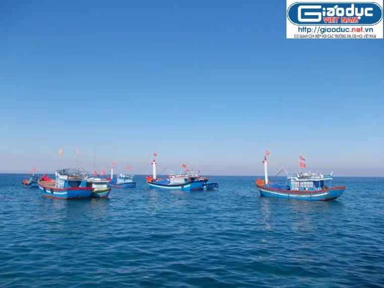 Tàu ngư dân Lý Sơn đang vươn khơi Tàu ngư dân Lý Sơn đang vươn khơi