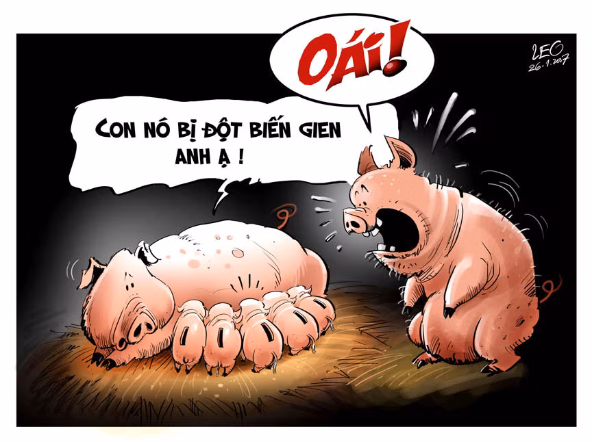 "Sửng sốt"