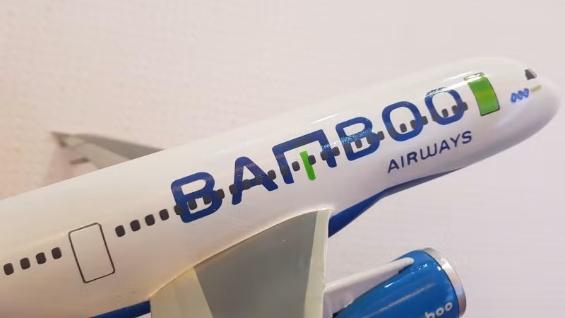 Bamboo Airways lỡ hẹn cất cánh, vẫn tuyên bố có sự đồng thuận cao từ bộ ngành ảnh 3
