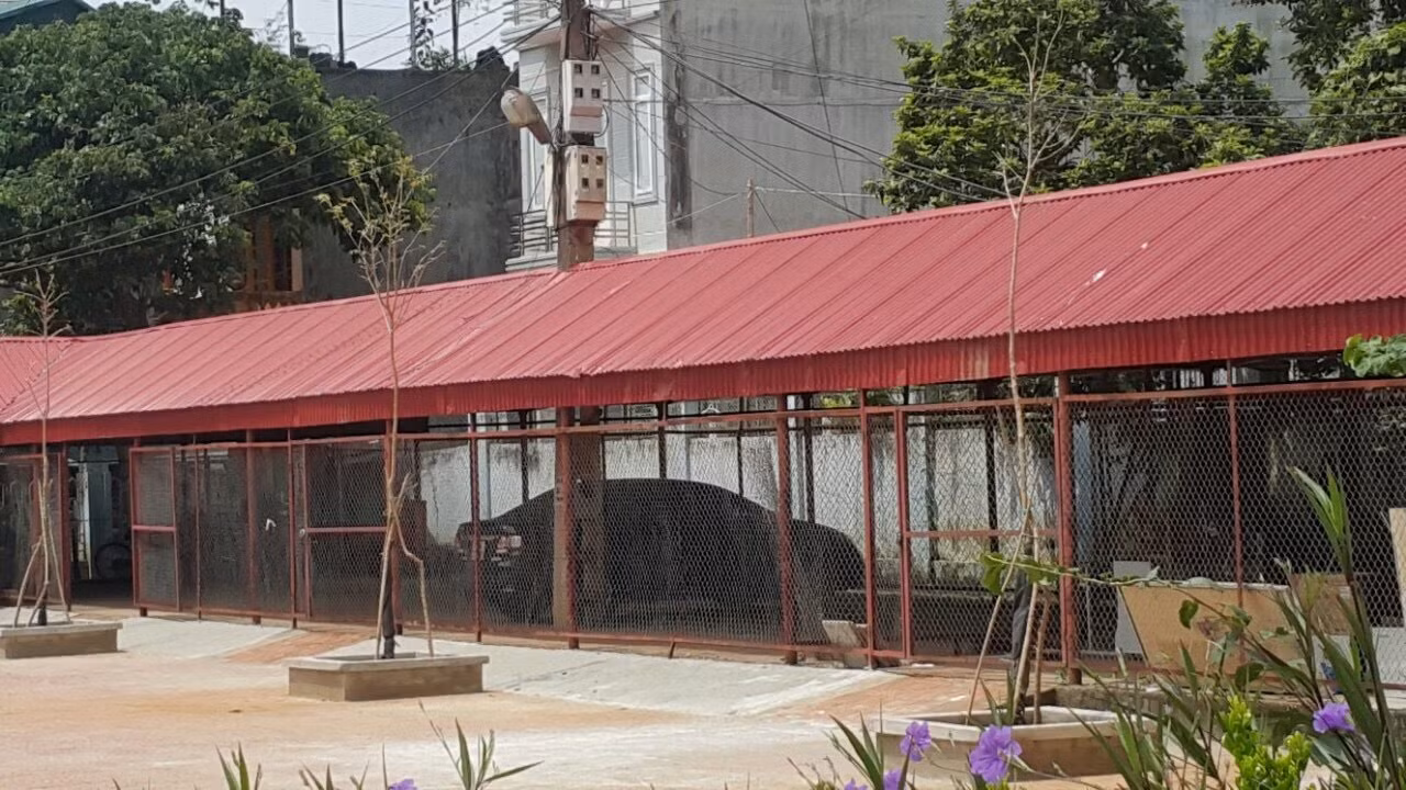 Nhà xe của trường trước đây học sinh được để xe miễn phí nay nhường chỗ cho giáo viên nhằm ép học sinh phải gửi xe tại nhà xe có thu phí 450 ngàn đồng/9 tháng. Ảnh: NVCC.