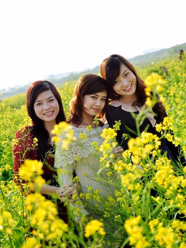 Sắc vàng của vườn cải trở thành phông nền cho những bộ váy áo màu đỏ, đen và nuy của teen. Sắc vàng của vườn cải trở thành phông nền cho những bộ váy áo màu đỏ, đen và nuy của teen.