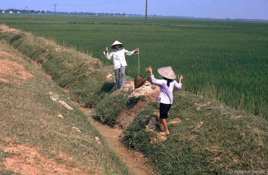 Hai người phụ nữ tát nước từ mương vào ruộng lúa tại Đông Hồ, 1991. Hai người phụ nữ tát nước từ mương vào ruộng lúa tại Đông Hồ, 1991.