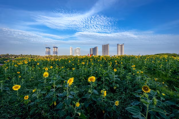Màu xanh đặc trưng tại khu đô thị Ecopark Màu xanh đặc trưng tại khu đô thị Ecopark