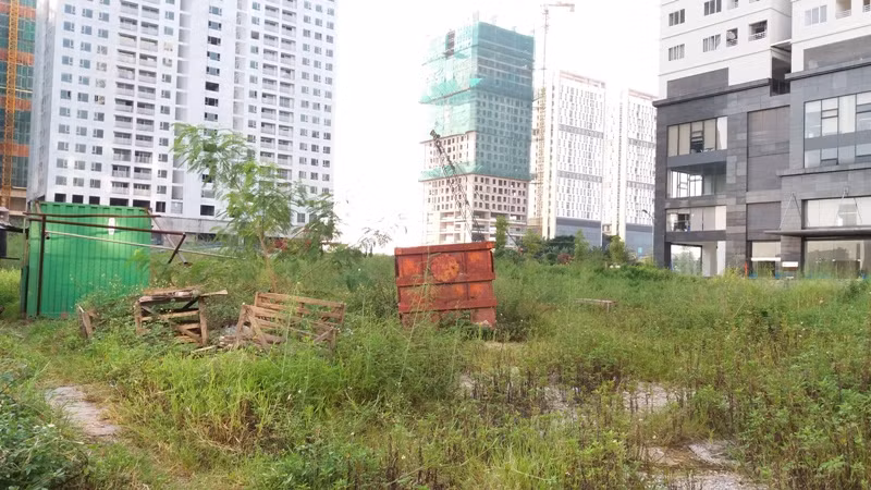 Sau 06 năm trời chờ đợi để được mua nhà thì đến nay khu đất này vẫn chỉ là bãi đất hoang, cây cối mọc um tùm.