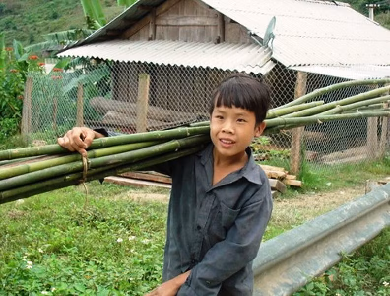 Trong khi đó, đối với trẻ em miền núi, những vùng sâu, vùng xa ở lứa tuổi này các em phải đi rừng, đi nương giúp gia đình, giúp cho cuộc sống đỡ vất vả hơn. Trong khi đó, đối với trẻ em miền núi, những vùng sâu, vùng xa ở lứa tuổi này các em phải đi rừng, đi nương giúp gia đình, giúp cho cuộc sống đỡ vất vả hơn.