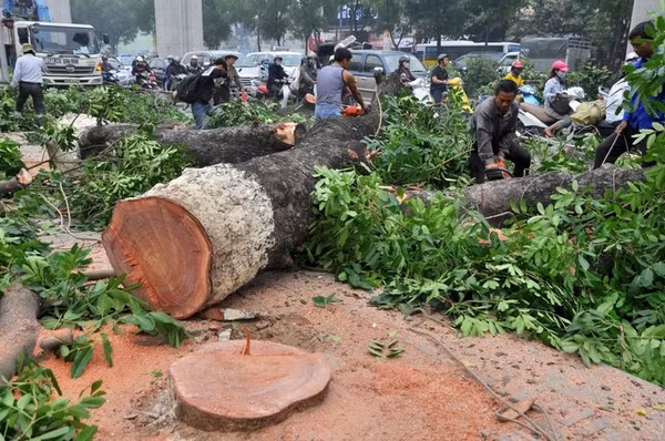Vĩ nhân thế giới ngày nhỏ đi học ở đâu, thế nào? ảnh 2