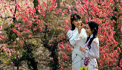Minh triết mùa xuân ảnh 1 Minh triết mùa xuân ảnh 1