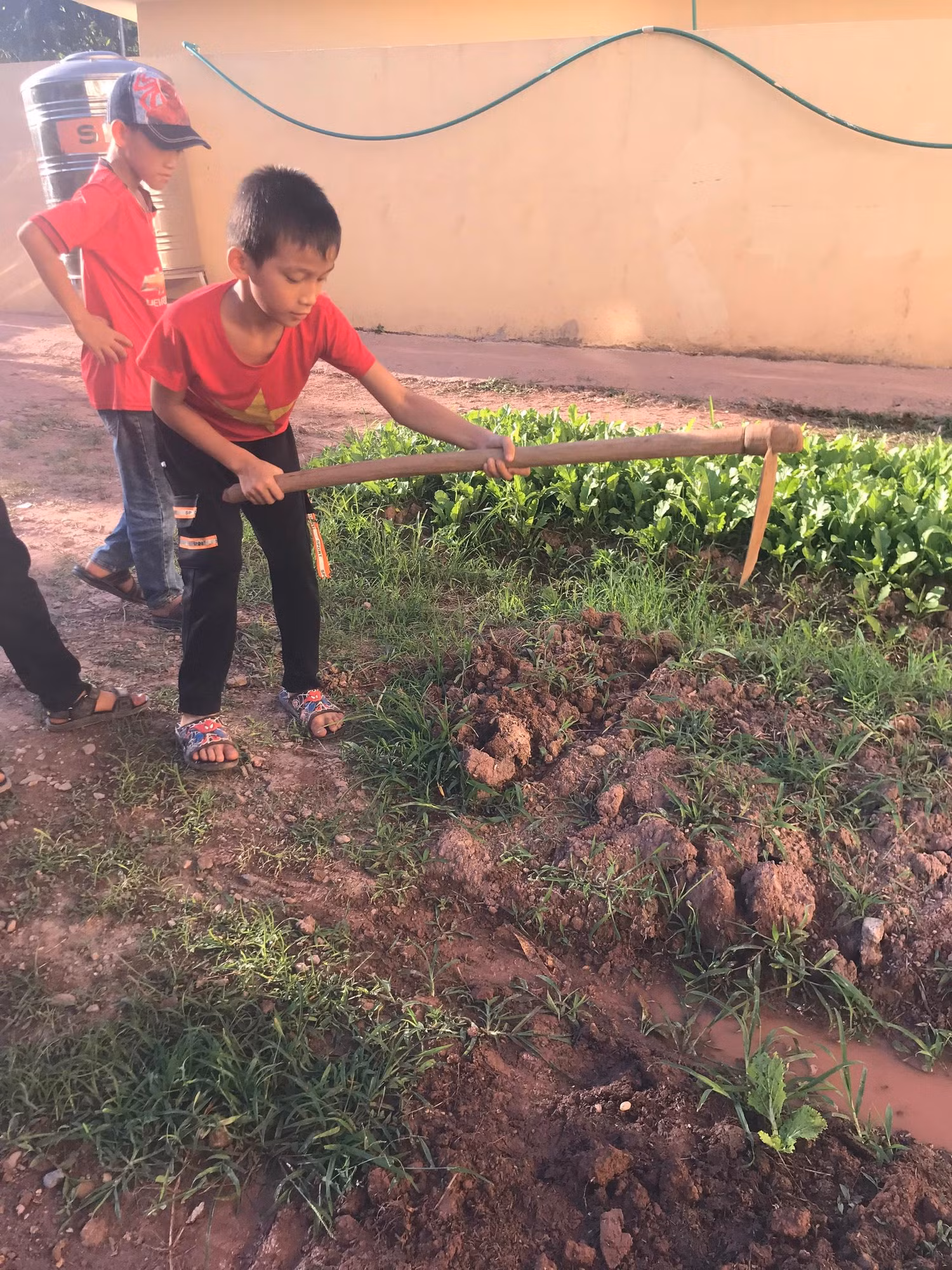 Học sinh trường Nậm Nhừ chăm sóc vườn rau sau giờ học. Ảnh: NTCC