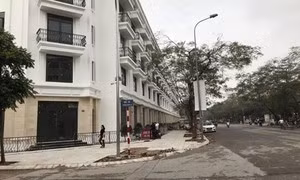 Muốn lò cháy rực thì phải có “gió tươi” thổi vào ảnh 3 Muốn lò cháy rực thì phải có “gió tươi” thổi vào ảnh 3