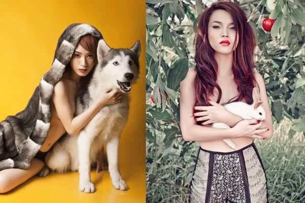 Động vật Trong khi Trà My Idol mang cả chú chó cưng husky để chụp ảnh nóng, thì Yến Trang nhẹ nhàng ôm thỏ che vòng 1. Động vật Trong khi Trà My Idol mang cả chú chó cưng husky để chụp ảnh nóng, thì Yến Trang nhẹ nhàng ôm thỏ che vòng 1.