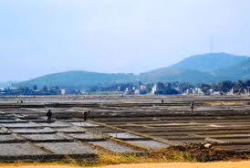 Khu vực cánh đồng muối Sa Huỳnh, nơi hai cháu bé bị chết đuối.