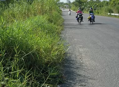 Quốc lộ 91B ở Cần Thơ băng qua đồng ruộng, có nhiều đất dân bị ảnh hưởng. Ảnh: Internet.
