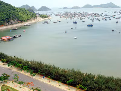 Với tư cách là một quốc gia biển, Việt Nam là một trong số 9 quốc gia đầu tiên tổ chức các sự kiện mừng ngày Đại dương thế giới từ năm 2009. Ảnh: Kiều Minh. Với tư cách là một quốc gia biển, Việt Nam là một trong số 9 quốc gia đầu tiên tổ chức các sự kiện mừng ngày Đại dương thế giới từ năm 2009. Ảnh: Kiều Minh.