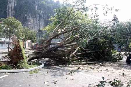 Ảnh minh họa: Internet. Ảnh minh họa: Internet.