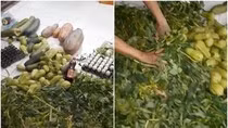 Công ty Vĩnh Phúc bán thực phẩm thối đòi huyện Vĩnh Tường bồi thường 20 tỷ đồng ảnh 2
