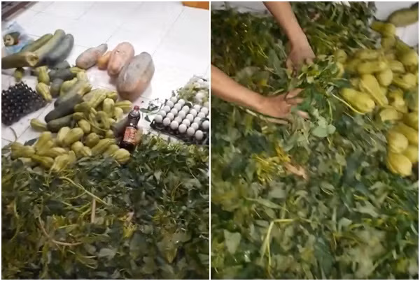 Số thực phẩm hư hỏng được người dân phát hiện khi đưa vào trường học (ảnh ĐN)