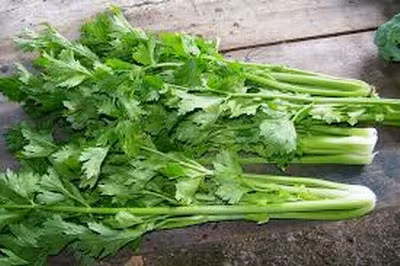 Cây cần tây. Cây cần tây.