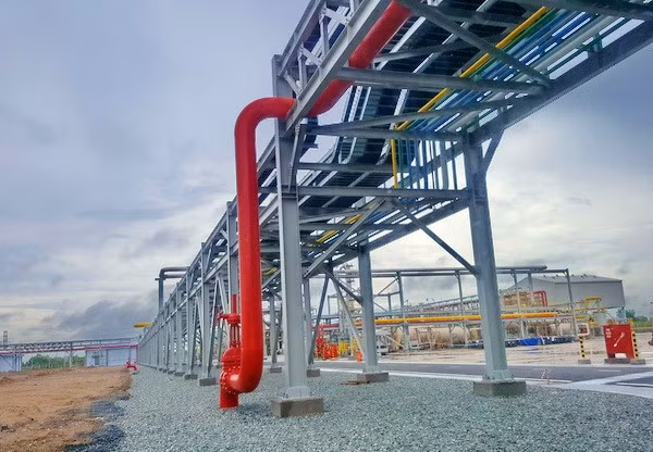 Kiểm toán nhà nước nên sửa quyết định của mình ảnh 2