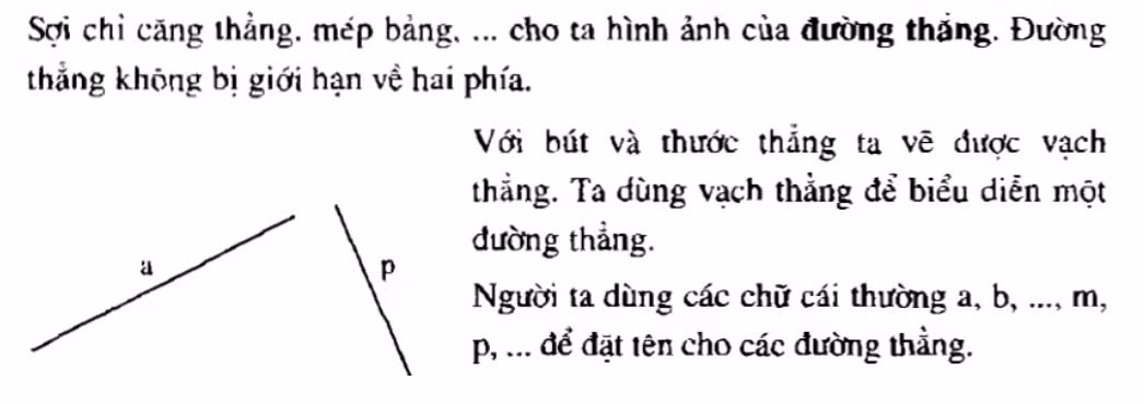 Phần hình học trong sách thiếu định nghĩa về đường thẳng và điểm.