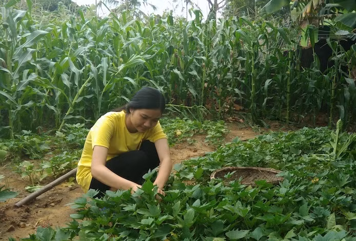 Cảm động cậu học trò 8 năm được bạn cõng tới trường với ước mơ đỗ đại học ảnh 4 Cảm động cậu học trò 8 năm được bạn cõng tới trường với ước mơ đỗ đại học ảnh 4