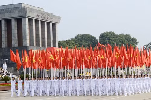 Họ đã ngoan cố “đạp lên pháp luật” ảnh 3
