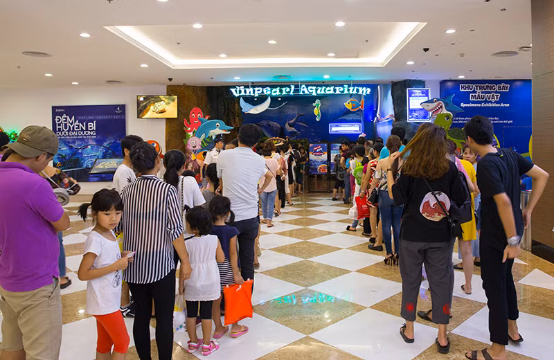 Ưu đãi 50% vé vào cửa Thủy cung VMM Times City thu hút đông đảo giới trẻ tới tham quan.
