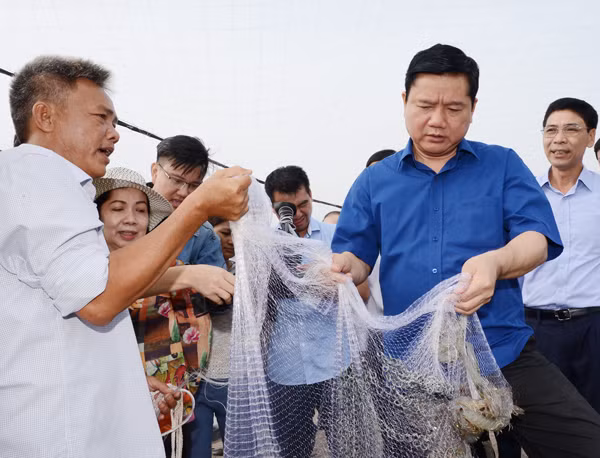 Người Việt hiếu học, cần cù, sáng tạo… sao vẫn nghèo? ảnh 2