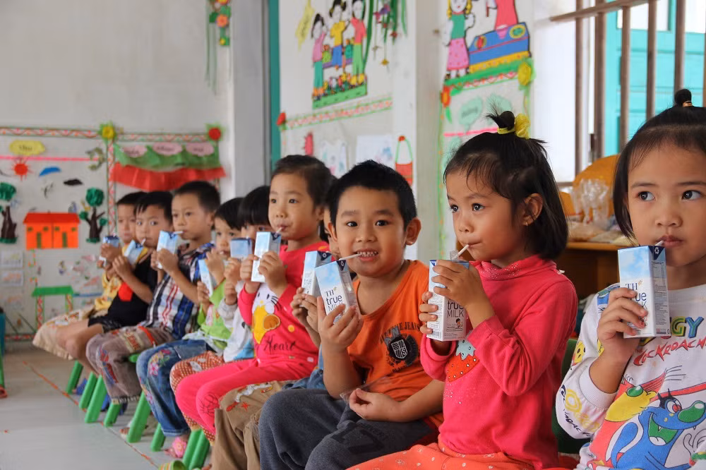 Sữa học đường TH school MILK được chế biến từ sữa tươi bổ sung nhiều vi chất dinh dưỡng phù hợp với sự hấp thu của trẻ.