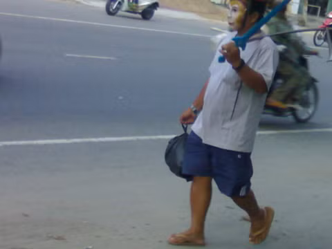 Việt Nam Du Ký. Việt Nam Du Ký.