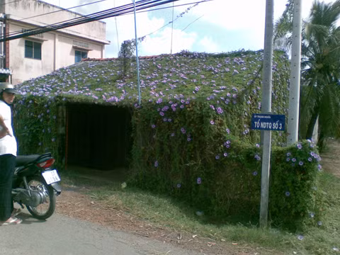 Ngôi nhà hoa.