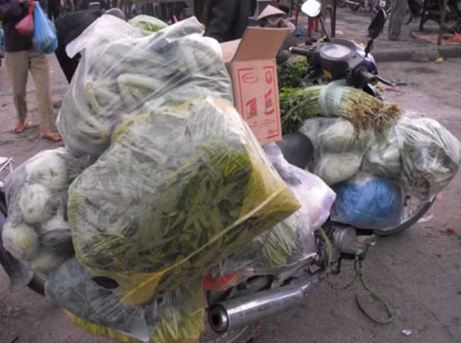 Rau không rõ nguồn gốc xuất xứ được Công ty Trung Thành mua về đóng gói rồi tuồn vào nhà trường.