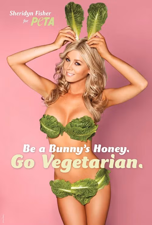 Nữ người mẫu Playboy Bunny Sheridyn Fisher. Ảnh. Adrant.
