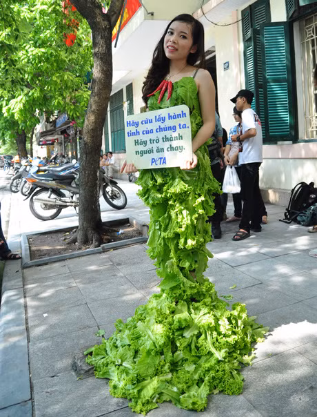 Chiếc váy bằng rau diếp với ý tưởng của tổ chức bảo vệ động vật PETA được kết từ những lá rau diếp có trọng lượng gần 10kg. Ảnh. Infonet.